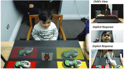 Children's social network size is related to their perspective-taking skills